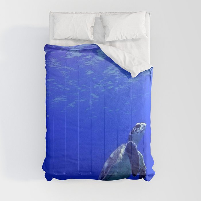 Deep Blue  Comforter