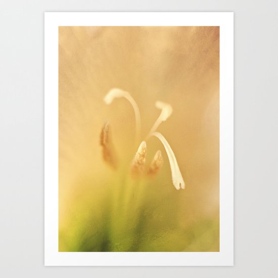 The Secret Inner Life of Gladioli Art Print