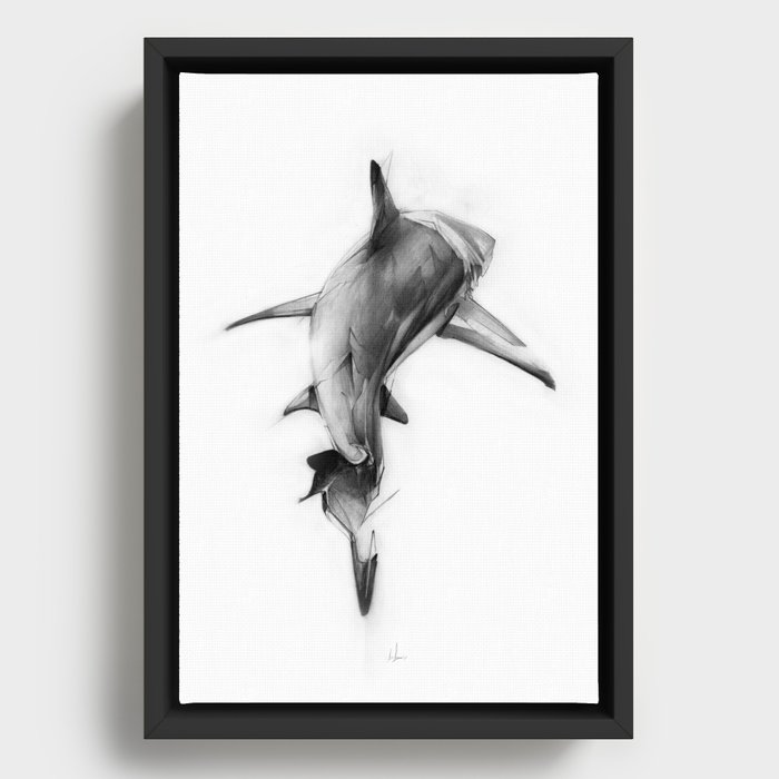 Shark II Framed Canvas