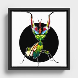 Devil's Flower Mantis (Idolomantis diabolica)  |  BUGSPOTTING SERIES Framed Canvas