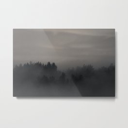 Misty Forest Metal Print