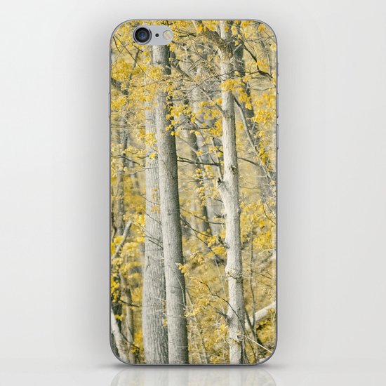 Amber Forest iPhone & iPod Skin