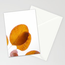 Last orange autumn leaves against a white sky | Abstract photography Stationery Card