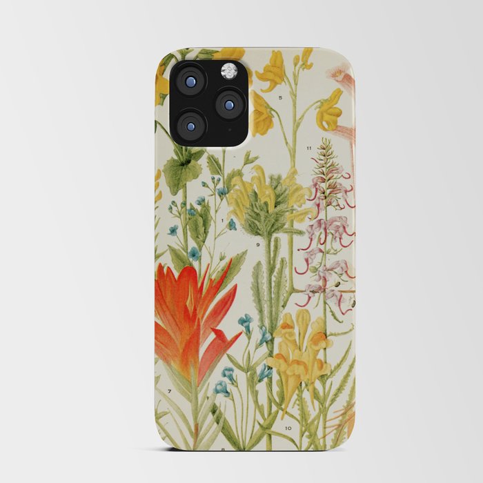 Wildflowers from "Rocky Mountain Flowers" (1914) by Edith Clements (benefitting The Nature Conservancy) iPhone Card Case