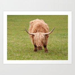 Highland Cow #8 #wall #art #society6 Art Print