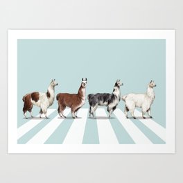 Llama The Abbey Road #1 Art Print