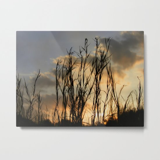 Last Light Metal Print