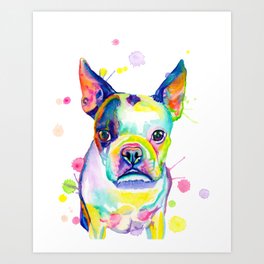 Rainbow Boston Terrier  Art Print