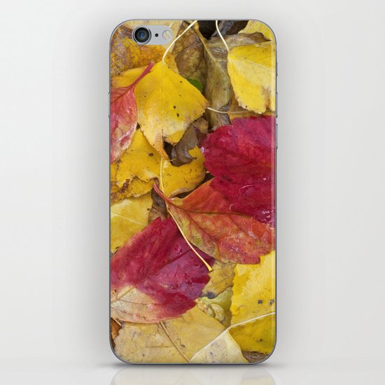 "Rain leaves" iPhone & iPod Skin