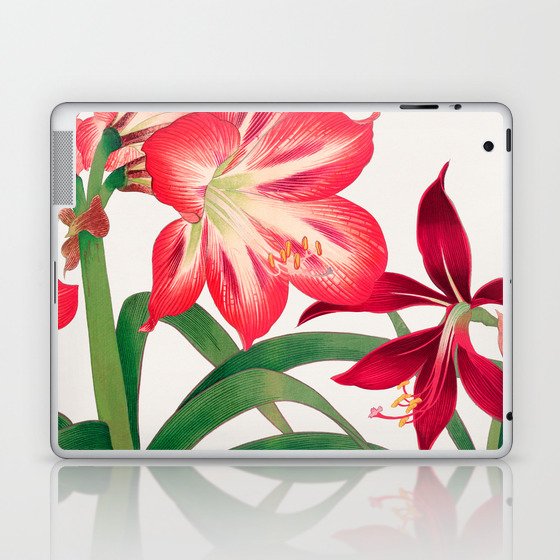 Coral Bloom: Amaryllis Print in Pink Hues – Sophisticated Florals Laptop & iPad Skin