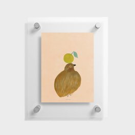 Fat Round Bird and Orange - Brown and Pink Floating Acrylic Print