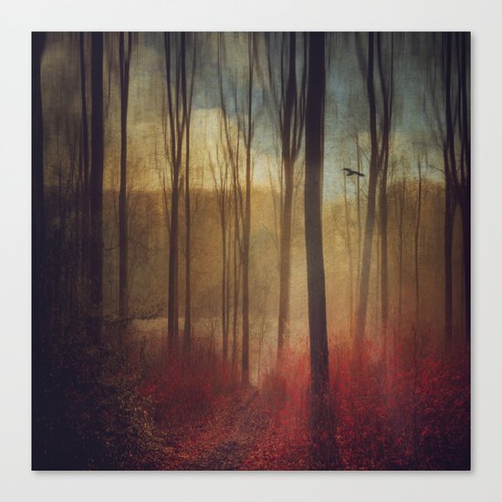light weavers Canvas Print