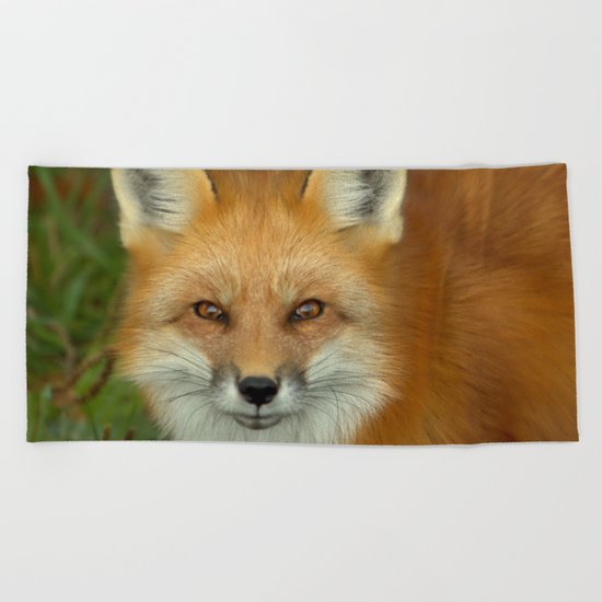 In focus Beach Towel