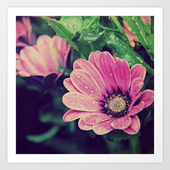 Thaw drops on flower Art Print