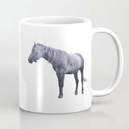 Arabian purebred stallion racehorse Mug