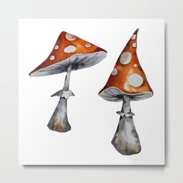 Amanita mushrooms. Watercolor drawing of mushrooms on a white background. Metal Print