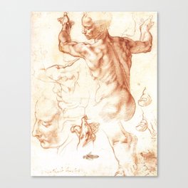Michelangelo. Studies for The Libyan Sibyl. Canvas Print