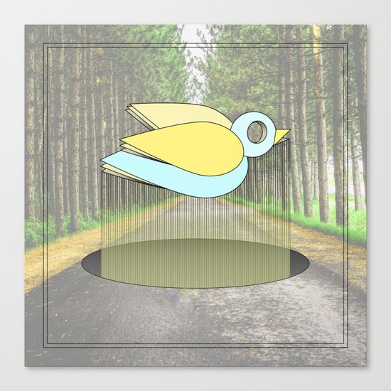 let me fly Canvas Print