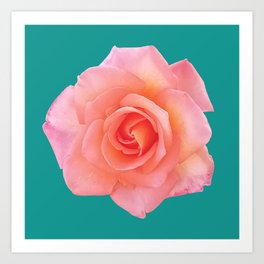 Summer pop coral rose flower photography Art Print