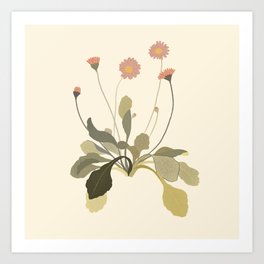 botanical flower simple illustration Art Print