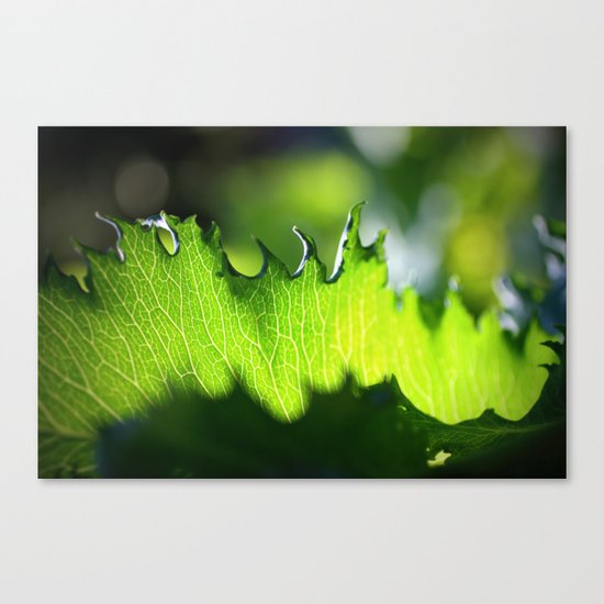 new beginning Canvas Print