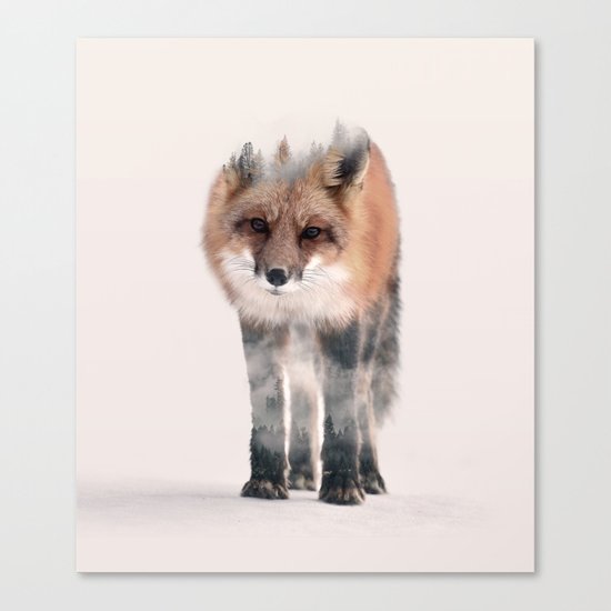 hondo kitsune Canvas Print
