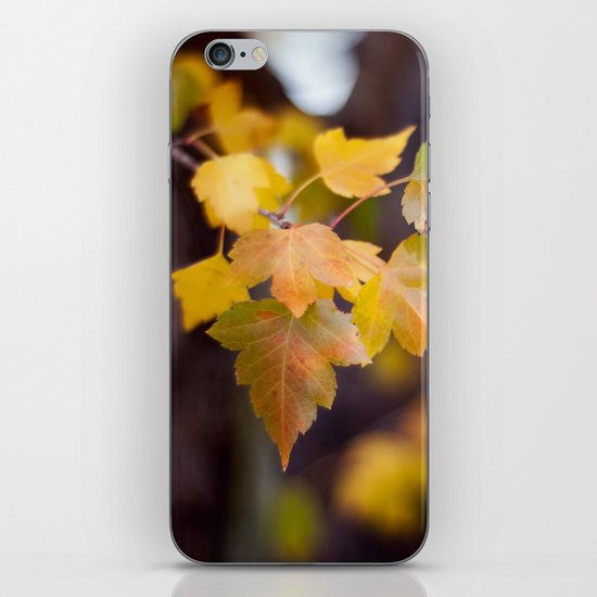 Autumn Yellow iPhone Skin