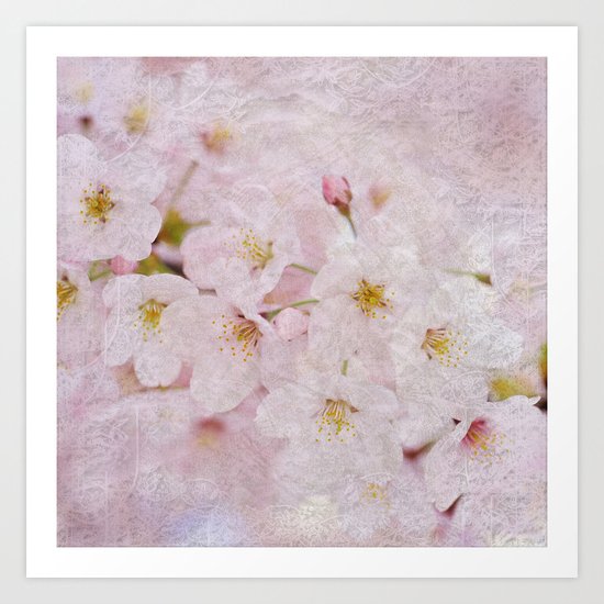 Cherry Blossom #9 Art Print