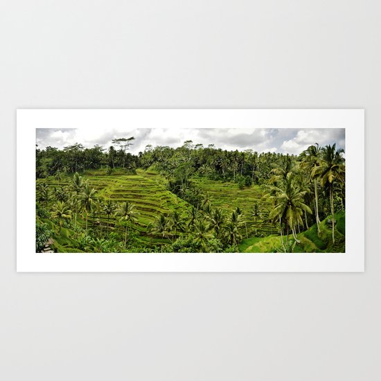 Bali Rice Fields Art Print