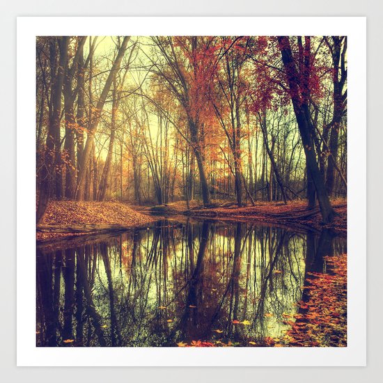 Autumn in the forest Art Print