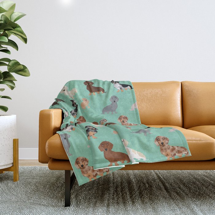 Merle doxie top