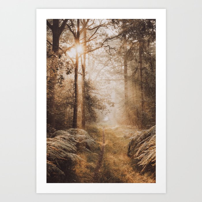 Dreamy Forest Art Print