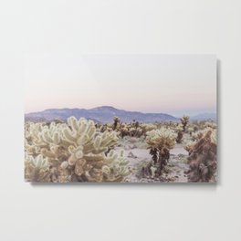 Joshua Tree Cholla Cactus Garden at Sunset Metal Print