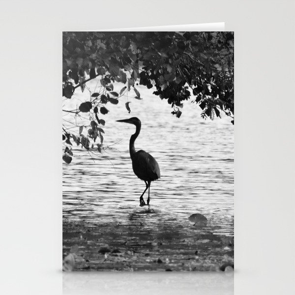 The Crane Stationery Cards