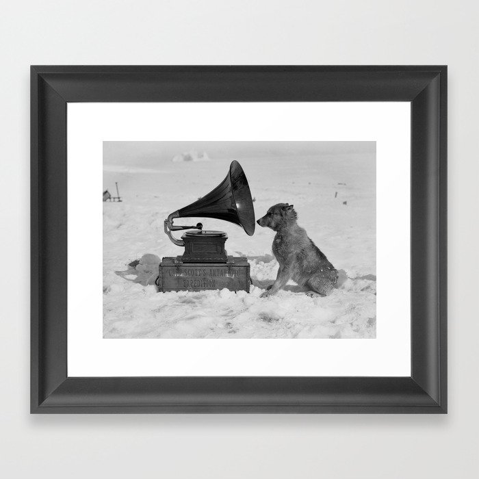 Chris the Dog and the Gramophone, Anarctic snow-covered polar black and white photography / photographs by Herbert Ponting Framed Art Print