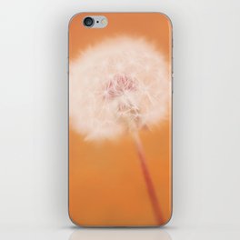 boho dandelion iPhone Skin