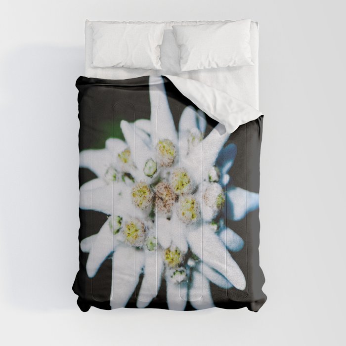 Edelweiss bloom Comforter