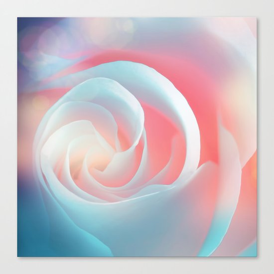 Rose flower and bokeh- Roses Canvas Print