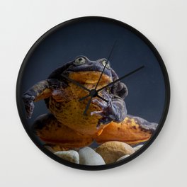 Romeo, the world's loneliest frog (no longer!) Wall Clock