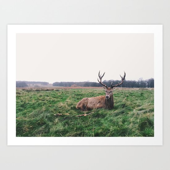 Deer #landscape Art Print
