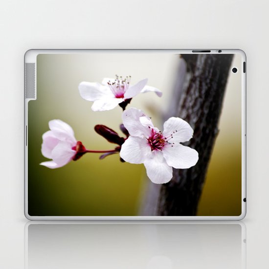 Signs of Spring 3 Laptop & iPad Skin