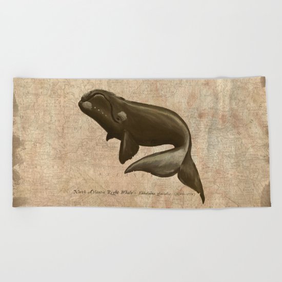 North Atlantic Right Whale, Digital Illustration by Amber Marine (c) 2015 Beach Towel