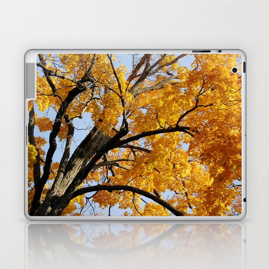 GOLD Laptop & iPad Skin