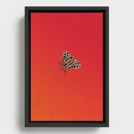 Moth in Lysergia Framed Canvas