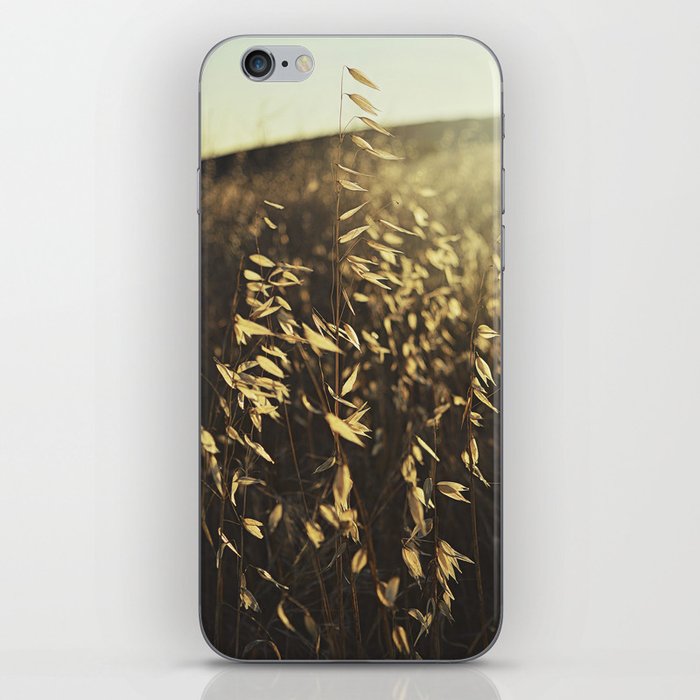 Grain at Sunset iPhone Skin