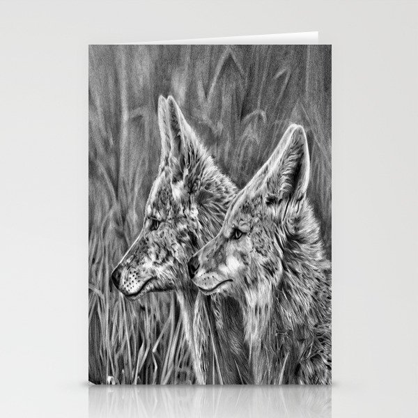 Coyote Stationery Cards