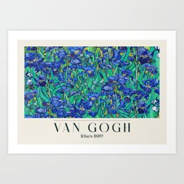 Van Gogh Irises 1889 Art Print