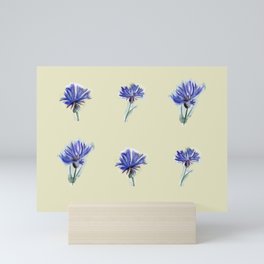 cornflowers Mini Art Print