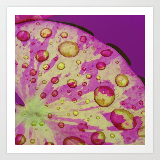 lily pad Art Print