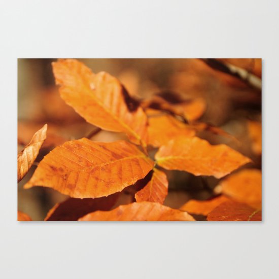 Autumn Leaves Canvas Print